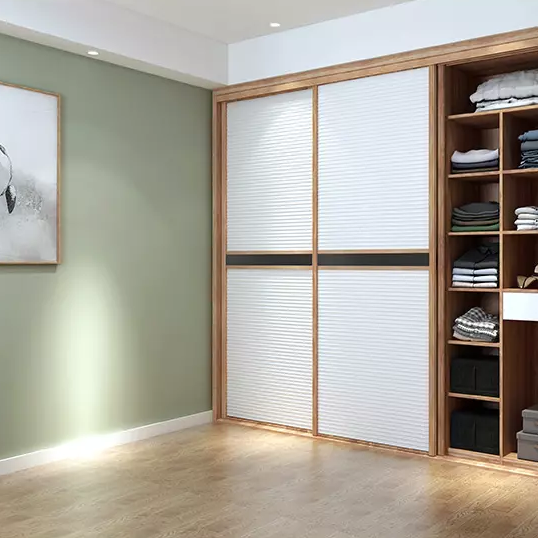 現(xiàn)代簡約衣柜風(fēng)格定制